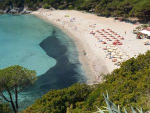 Spiaggia di Fetovaia Isola d'Elba